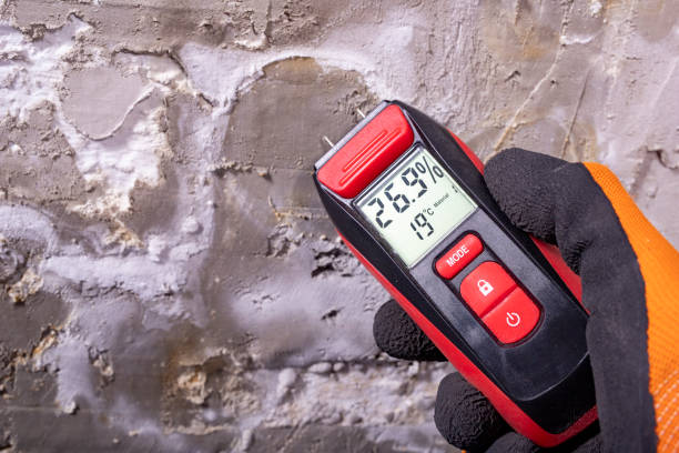 Best Bathroom Mold Remediation in Anson, TX